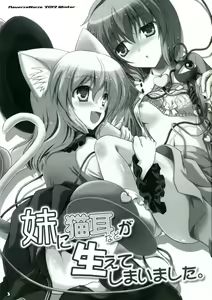 Page 3 of Imouto ni Nekomimi Nado ga Haete shimai mashita. - preview thumbnail