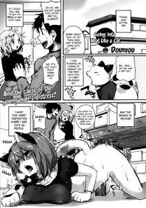 Nyanko na Hatsujouki | Going Into Heat Like a Cat — hentai manga cover on Fhentai