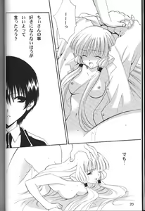 Page 19 of C-HOBIT - preview thumbnail