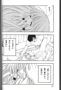 Page 25 of C-HOBIT - preview thumbnail
