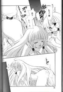 Page 27 of C-HOBIT - preview thumbnail