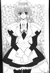 Page 3 of C-HOBIT - preview thumbnail