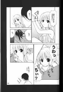 Page 42 of C-HOBIT - preview thumbnail