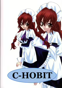 Page 66 of C-HOBIT - preview thumbnail