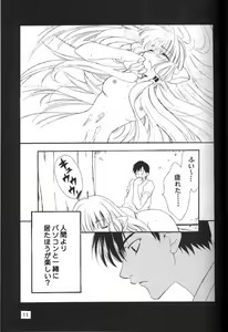 Page 10 of C-HOBIT - preview thumbnail