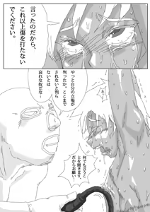Page 19 of Hikaruden - preview thumbnail