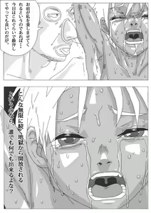 Page 32 of Hikaruden - preview thumbnail