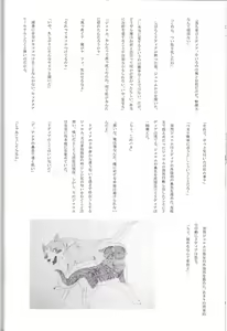 Page 44 of KTQ 15 - preview thumbnail