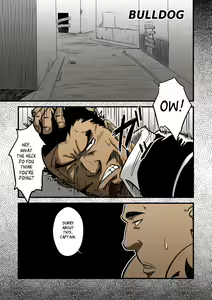 Page 4 of BULL DOG - preview thumbnail