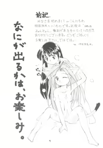 Page 3 of Touhou Huhai - preview thumbnail
