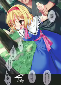 Page 5 of Touhou Ryoujoku 24 Full Color Alice Yagai Saimin Rape - preview thumbnail