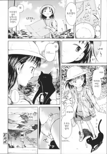 Page 22 of Ring across the Sky - preview thumbnail