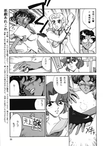 Page 34 of Chousen Ame Ver. 12.0 - preview thumbnail