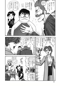Page 9 of Chousen Ame Ver. 12.0 - preview thumbnail