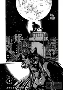 Page 5 of Tail Chaser 1 - preview thumbnail