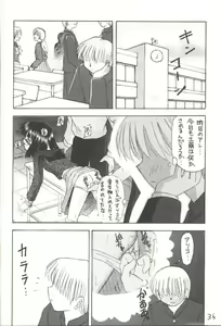 Page 30 of Hotaru V - preview thumbnail