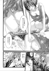 Page 309 of ANGEL Club 2006-07 - preview thumbnail