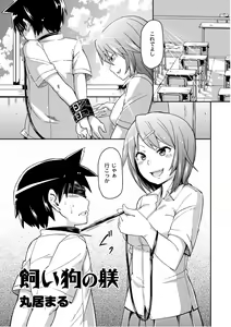 Page 196 of COMIC PLUM 2010-10 - preview thumbnail