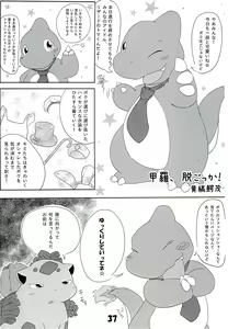 Page 36 of POK-QLO - preview thumbnail