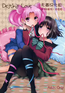 Destiny Love — hentai manga cover on Fhentai