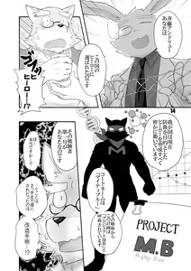 Page 15 of HERO Dekirumon - preview thumbnail