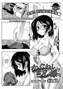 Kaguwashi Onii-sama | A cargo de la lavanderia de Onii-sama — hentai manga cover on Fhentai