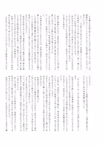 Page 25 of Touhou Kouginmu 2 - preview thumbnail