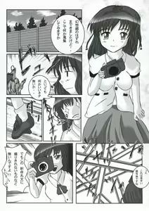Page 4 of Touhou Gyaku Vector Hon Chi ni Ochiru ka - preview thumbnail