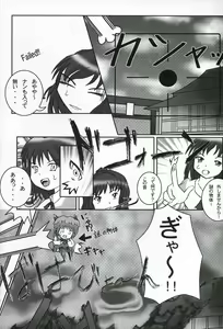 Page 5 of Touhou Gyaku Vector Hon Chi ni Ochiru ka - preview thumbnail
