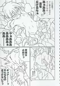 Page 22 of Inaba box - preview thumbnail