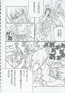 Page 25 of Inaba box - preview thumbnail