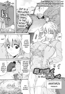 No ni Saku Shirube — hentai manga cover on Fhentai