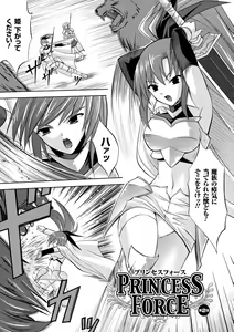 Page 29 of PRINCESS FORCE - preview thumbnail