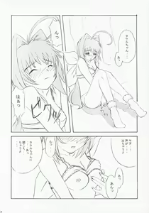 Page 13 of SBS step by step - preview thumbnail