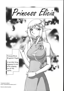 Type-H Ch. 2 - Princess Elicia — hentai manga cover on Fhentai