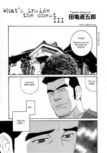 Page 33 of Nagamochi no Naka | What's inside the chest - preview thumbnail
