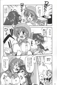 Page 41 of Daidoujin Mizuki 3 - preview thumbnail