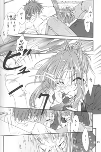Page 25 of EDEN - preview thumbnail