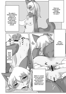 Page 10 of The 11th homunculus - preview thumbnail