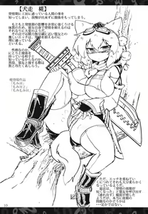 Page 9 of Nitorin H Shiryoushuu - preview thumbnail