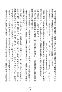 Page 235 of Nariyuki Guardian - preview thumbnail