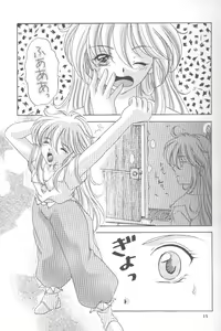 Page 14 of AERIAL - preview thumbnail