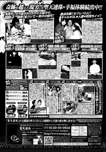Page 340 of COMIC Potpourri Club 2013-07 - preview thumbnail