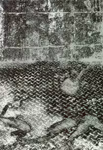 Page 3 of Degeneration - preview thumbnail