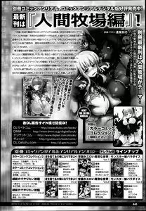 Page 433 of COMIC Unreal 2013-08 Vol. 44 - preview thumbnail