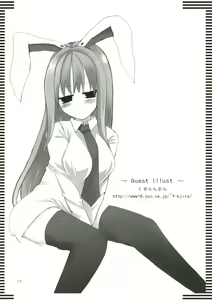 Page 17 of Inaba Box 4 - preview thumbnail