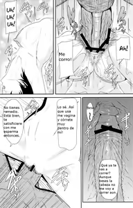 Page 24 of REDLEVEL7.5 - preview thumbnail