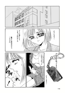 Page 116 of Maid Kaizou Choukyou - preview thumbnail