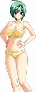 Page 334 of Character - Oppai Heart 03 - preview thumbnail