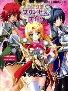 Wagamama Princess Knight — hentai manga cover on Fhentai